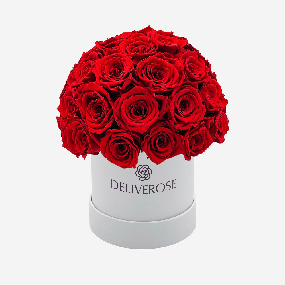 deliveros_17-2