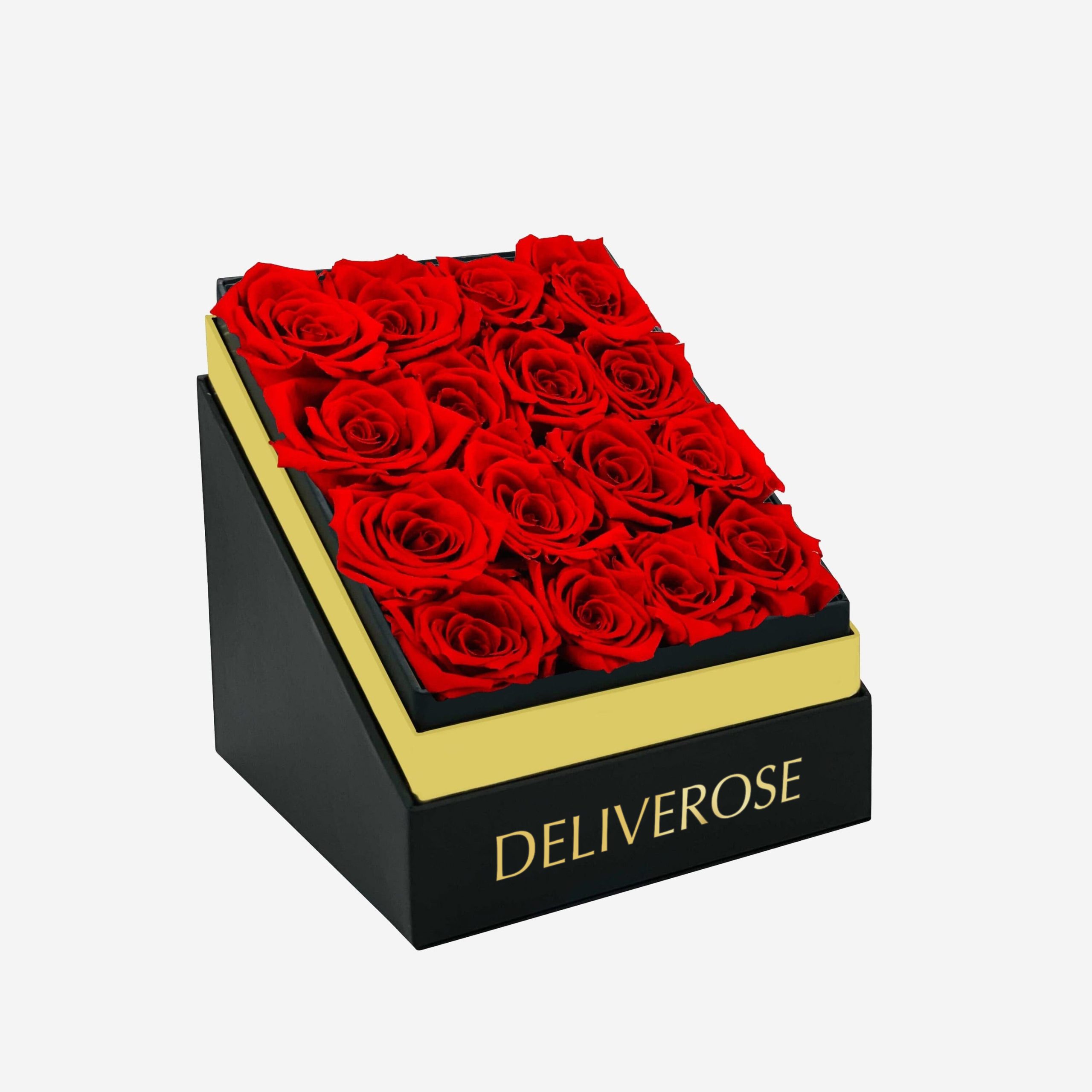 deliveros_32-2