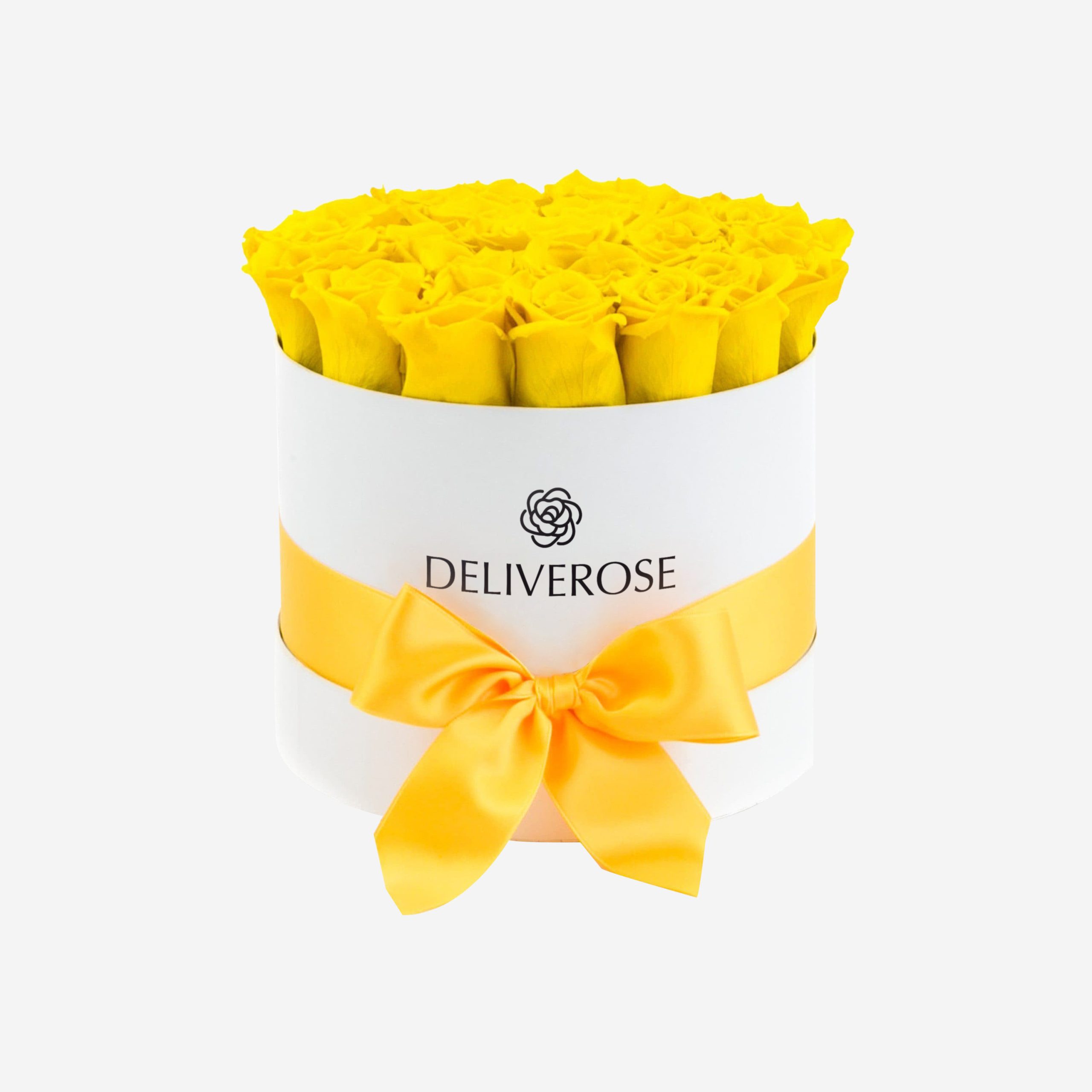 deliveros_48-2