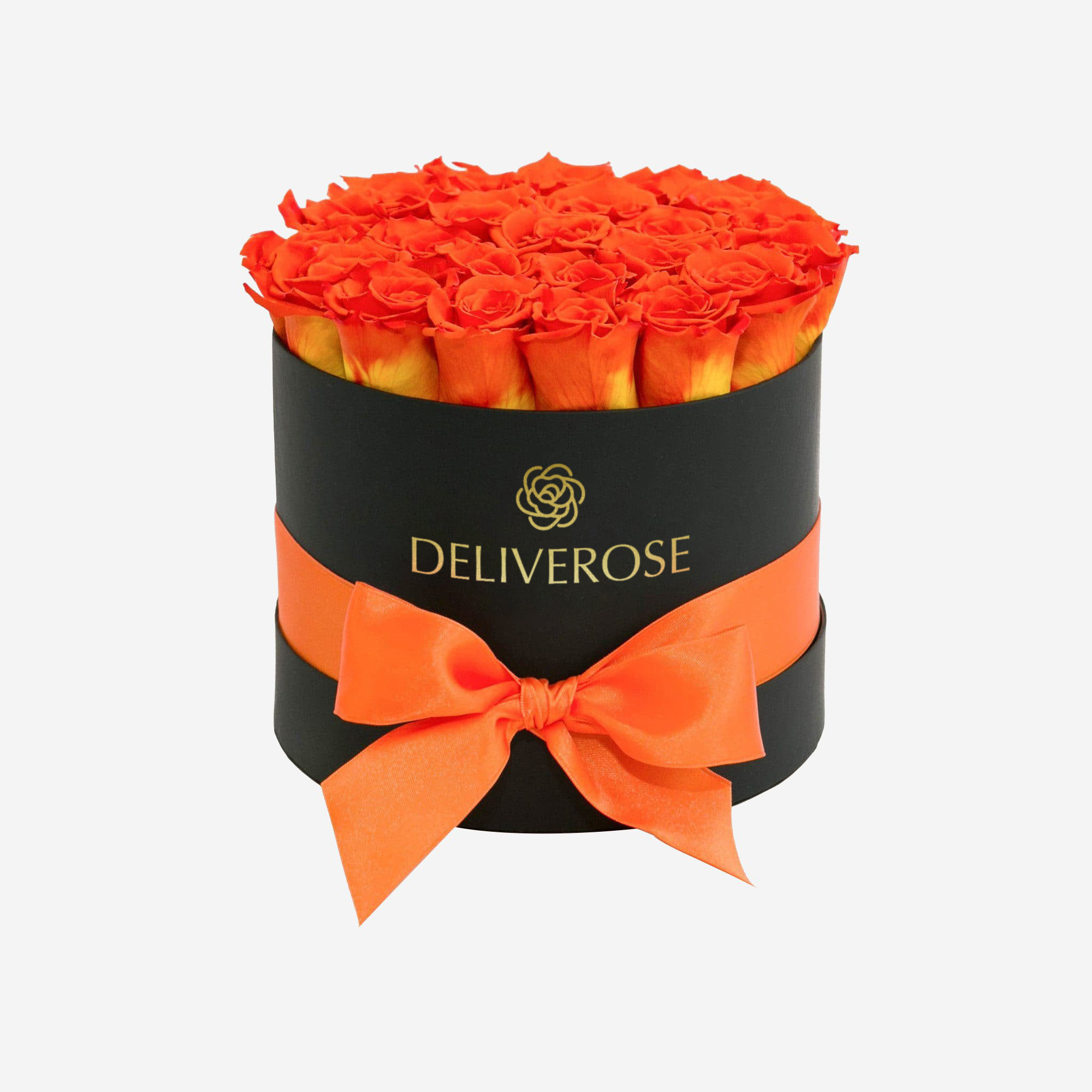 deliveros_50-2