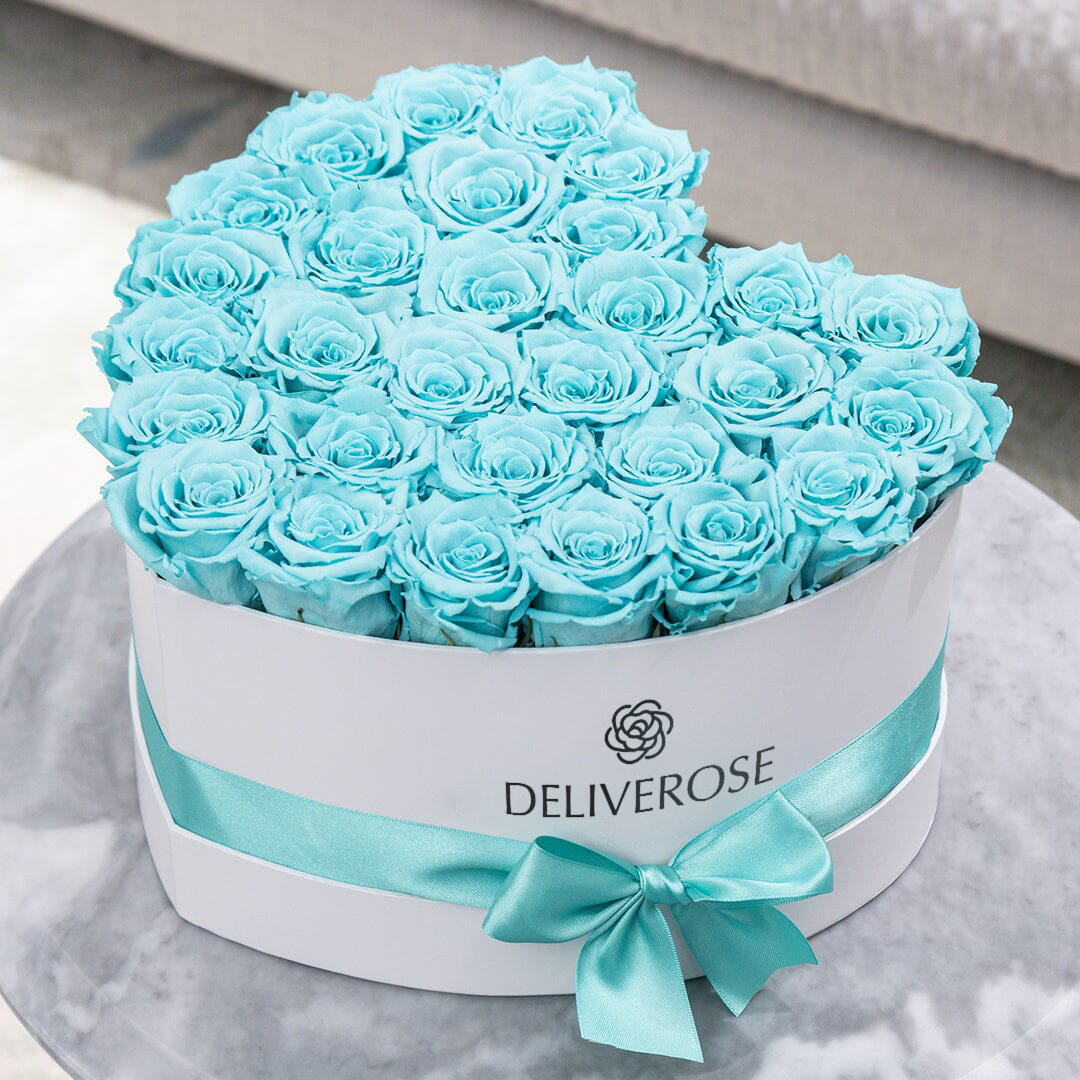 deliveros_54-1