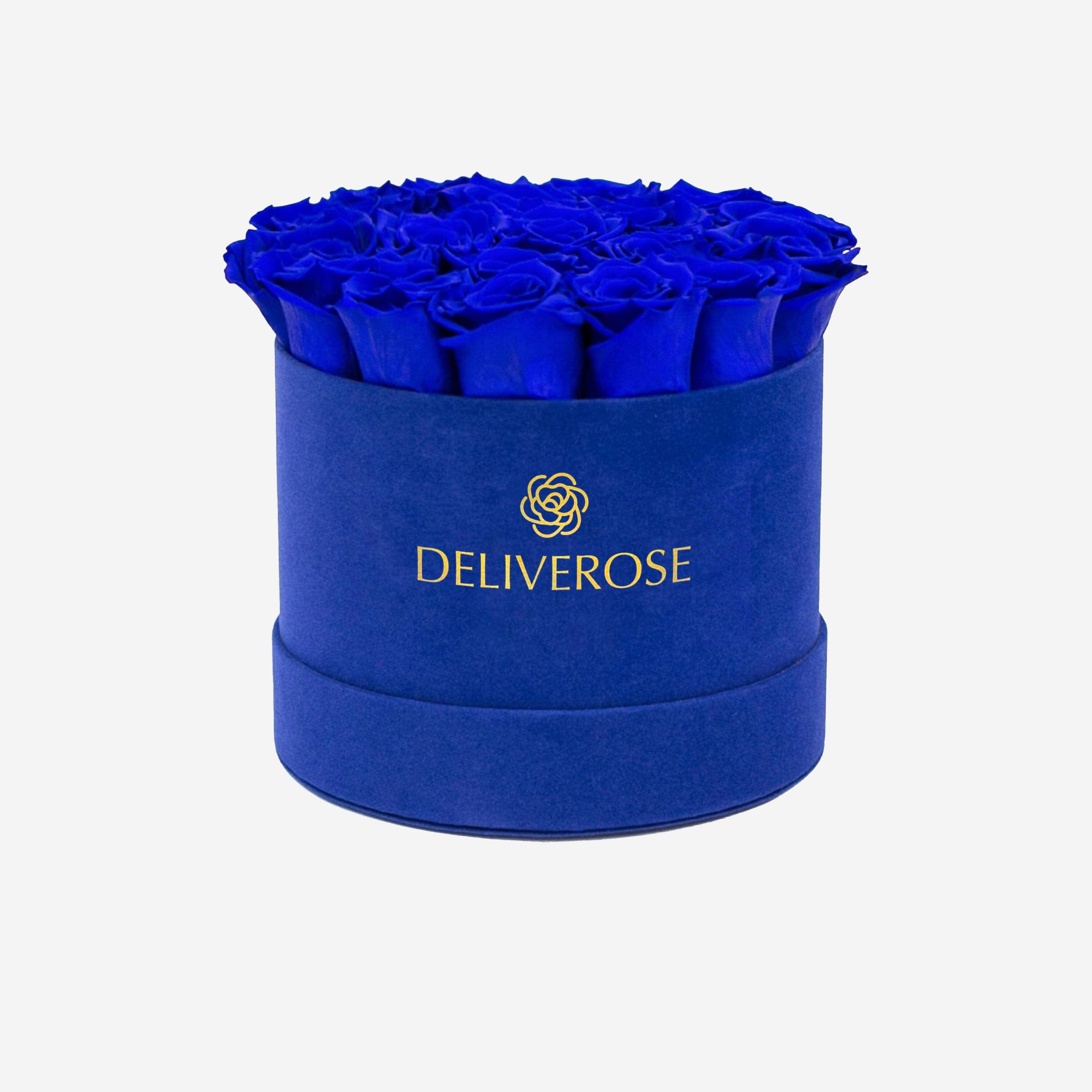 deliveros_61-2