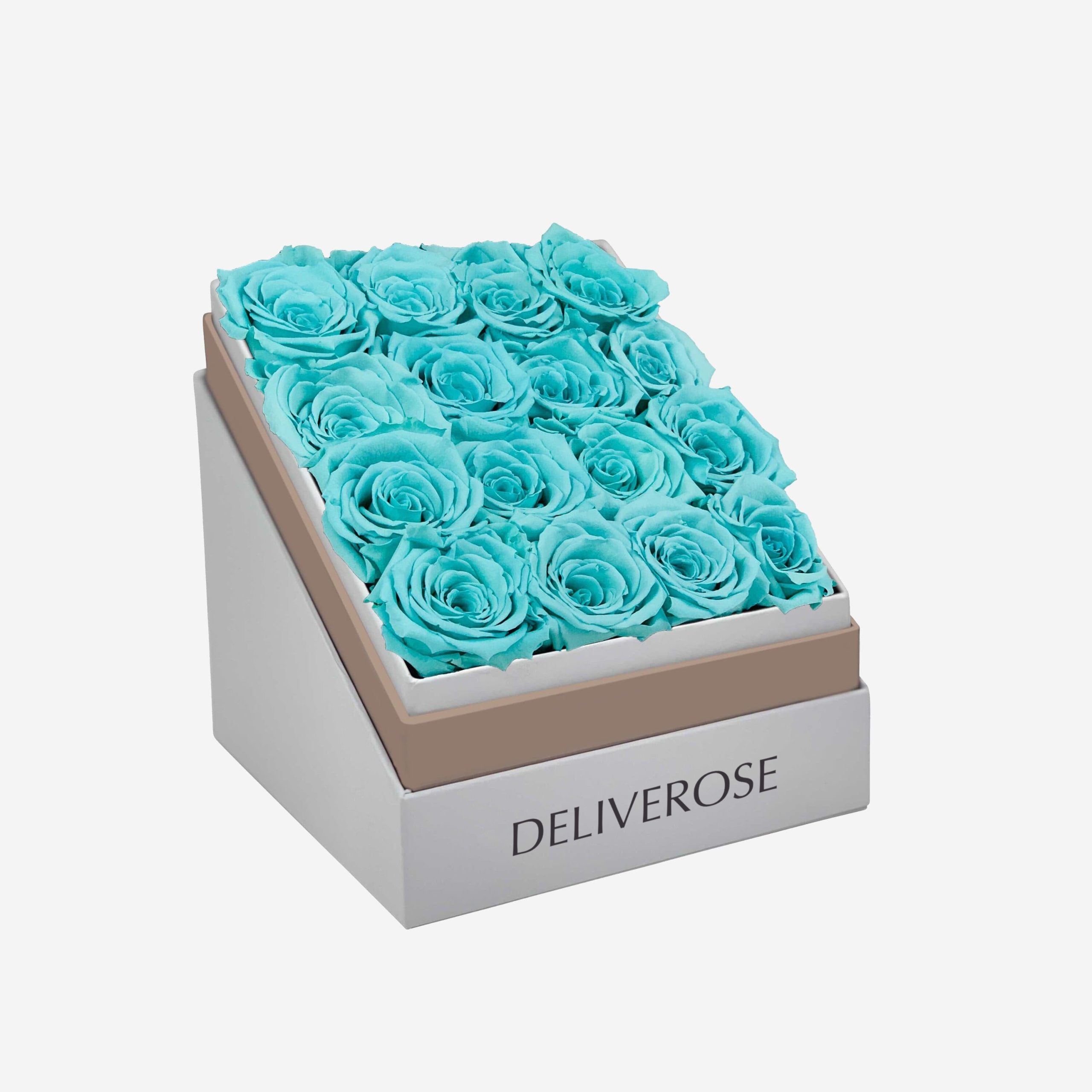 deliveros_62-2