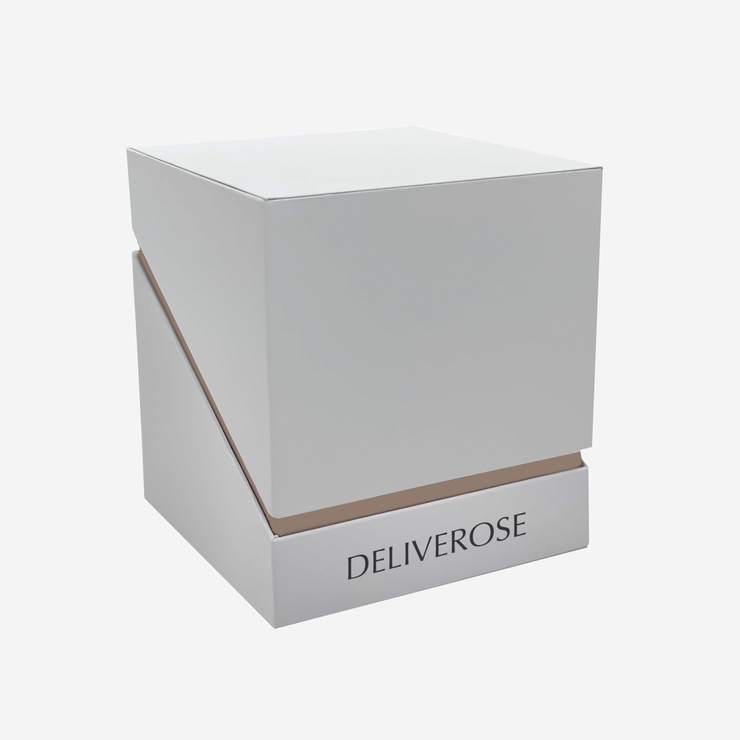 deliveros_62-3