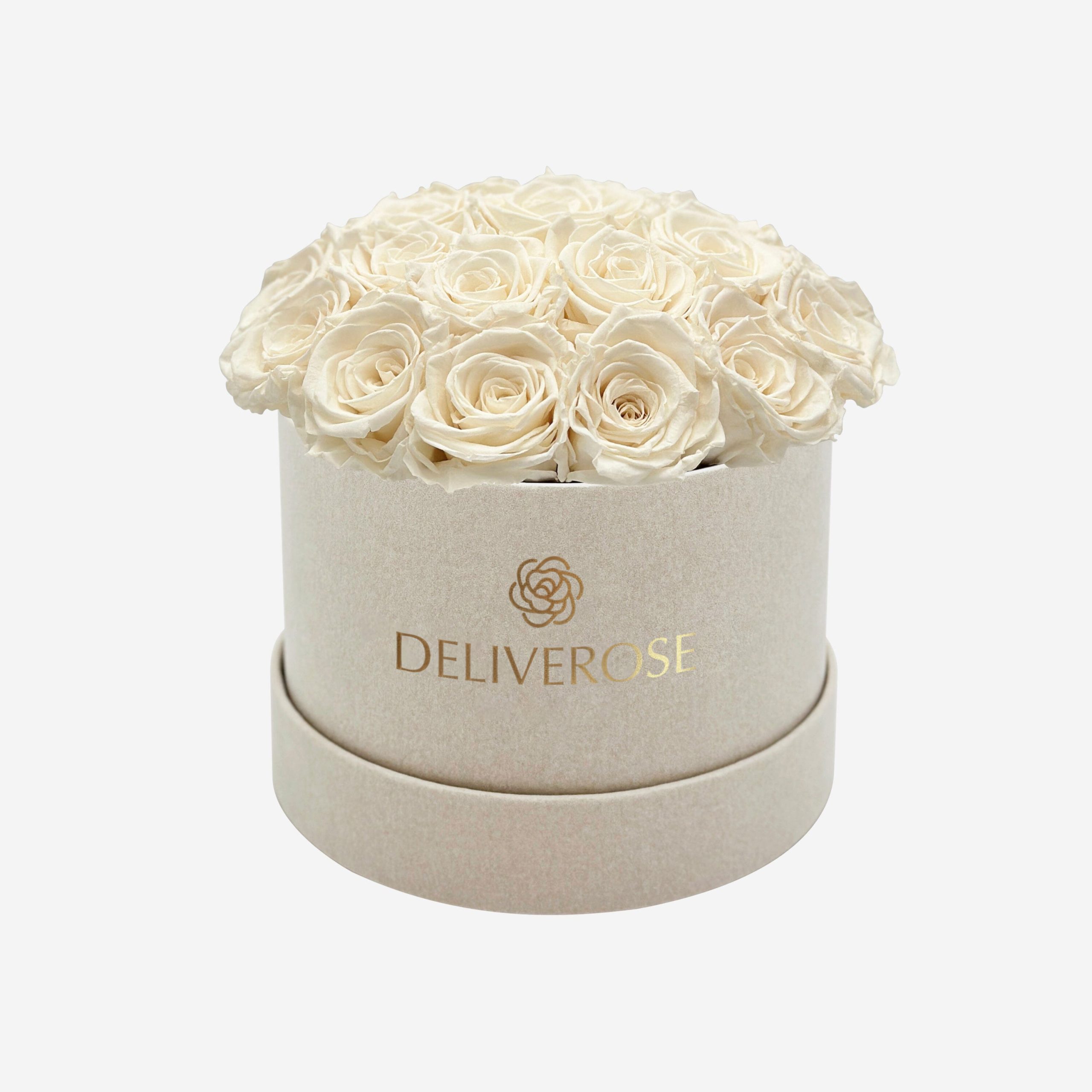 deliveros_63-2