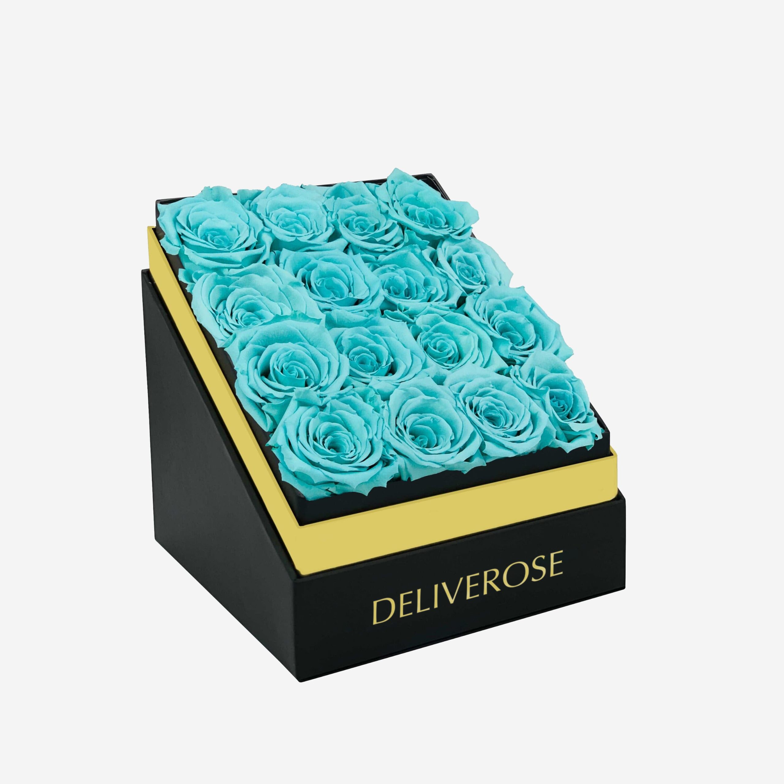 deliveros_89-1