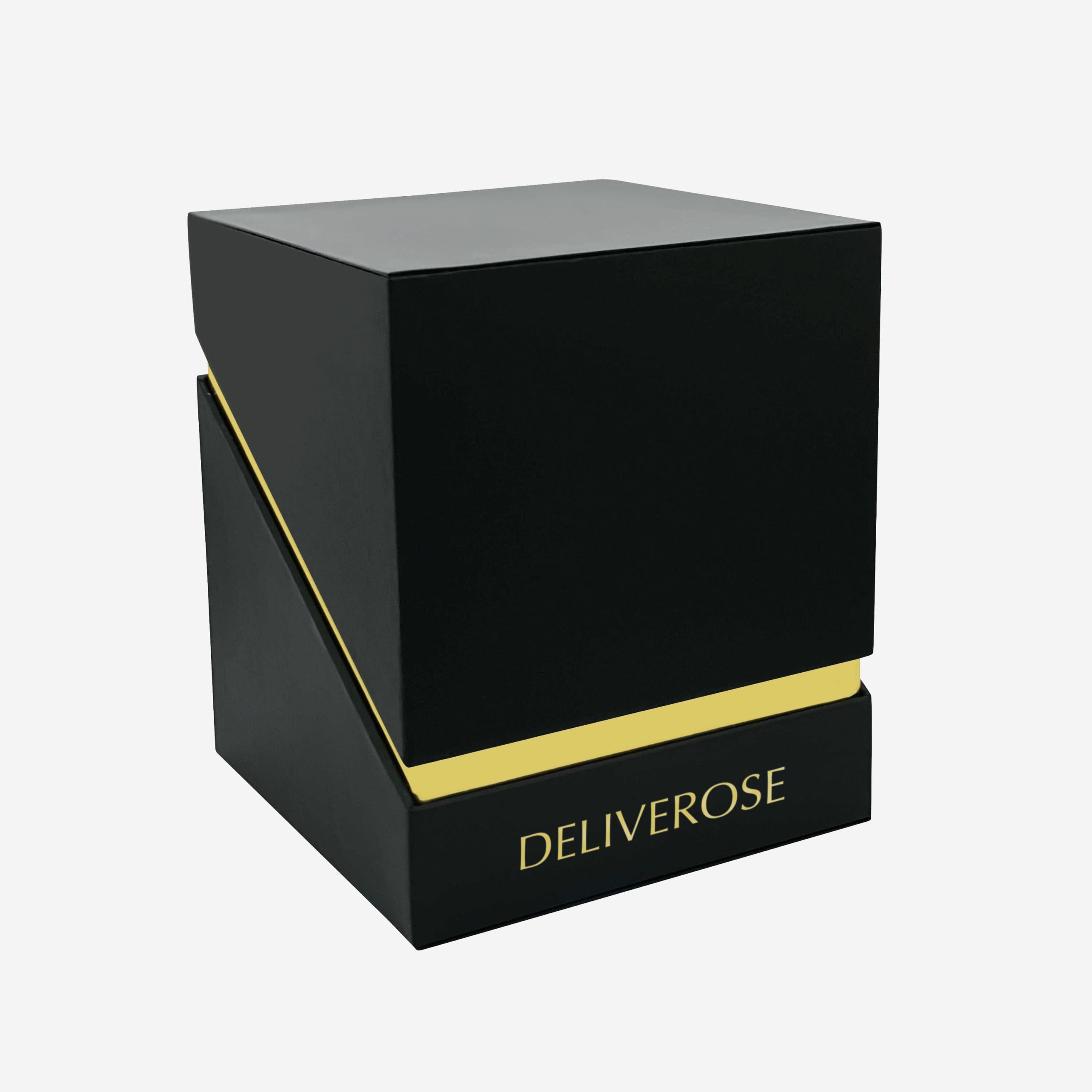 deliveros_89-2